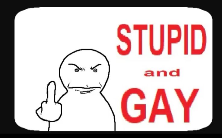 stupid n gay